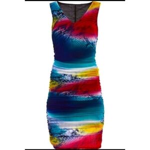 BOSTON Proper Snakeskin Mesh Multiple Color Dress